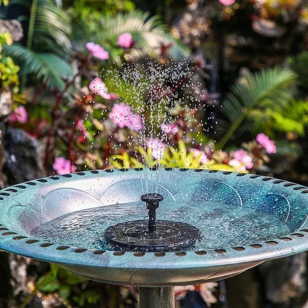 SolarSplash | Maak van je tuin een vogelparadijs