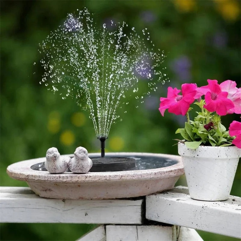 SolarSplash | Maak van je tuin een vogelparadijs
