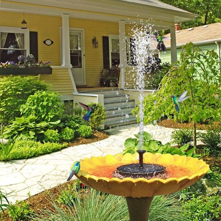 SolarSplash | Maak van je tuin een vogelparadijs